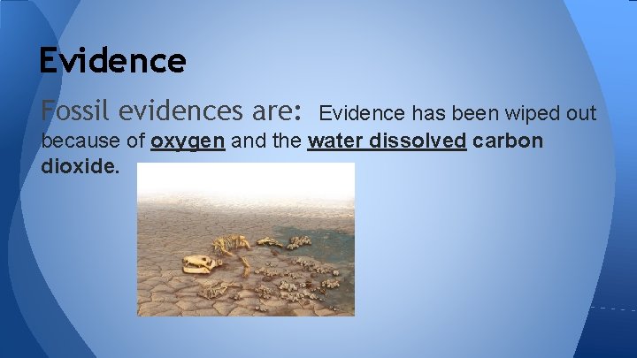 Evidence Fossil evidences are: Evidence has been wiped out because of oxygen and the