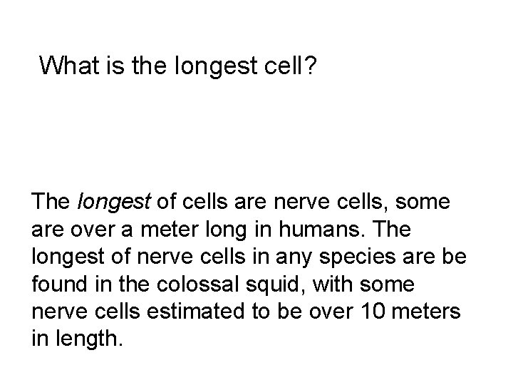 What is the longest cell? The longest of cells are nerve cells, some are