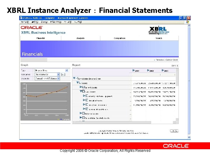 XBRL Instance Analyzer ： Financial Statements Copyright 2006 © Oracle Corporation, All Rights Reserved