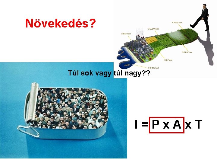 Növekedés? Túl sok vagy túl nagy? ? I=Px. Ax. T 