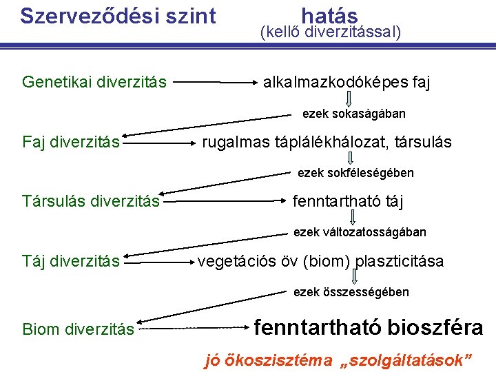 Szerveződési szint Genetikai diverzitás hatás (kellő diverzitással) alkalmazkodóképes faj ezek sokaságában Faj diverzitás rugalmas