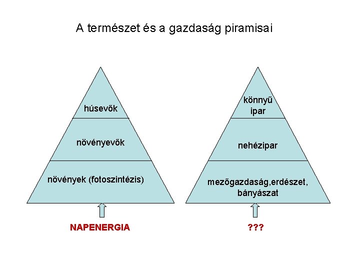 A természet és a gazdaság piramisai húsevők könnyű ipar növényevők nehézipar növények (fotoszintézis) NAPENERGIA