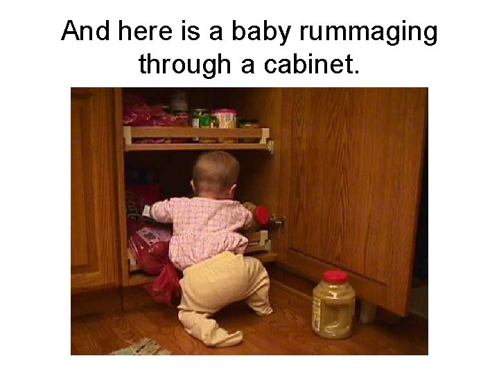 And here is a baby rummaging through a cabinet. 