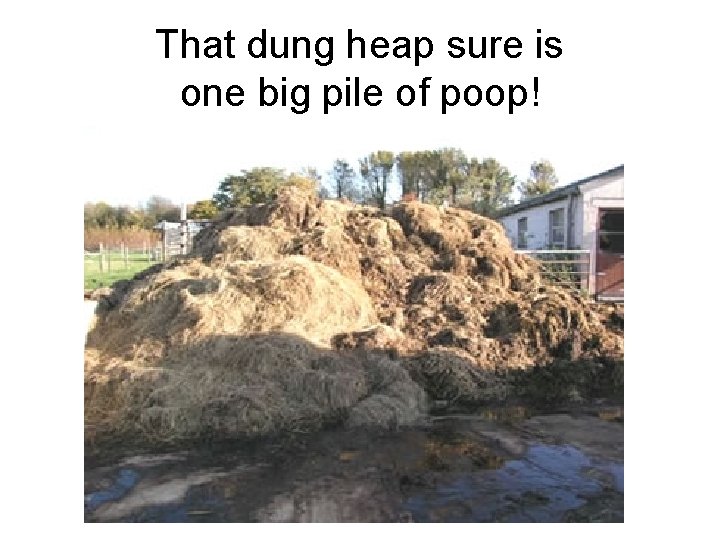 That dung heap sure is one big pile of poop! 