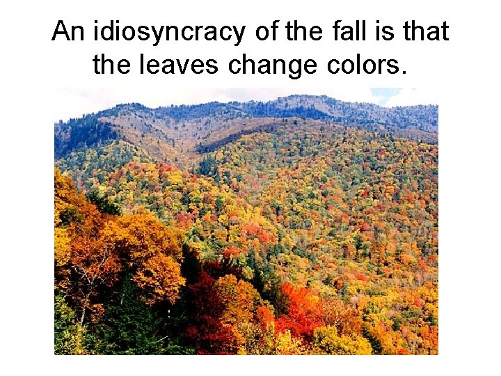 An idiosyncracy of the fall is that the leaves change colors. 
