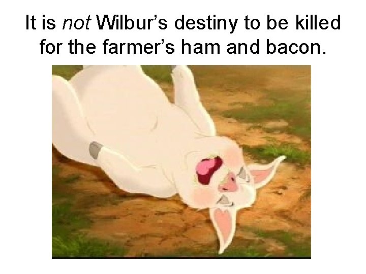 It is not Wilbur’s destiny to be killed for the farmer’s ham and bacon.