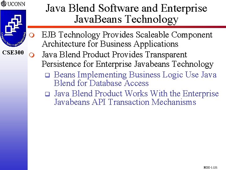 Java Blend Software and Enterprise Java. Beans Technology CSE 298 CSE 300 m EJB Java Blend Software and Enterprise Java. Beans Technology CSE 298 CSE 300 m EJB
