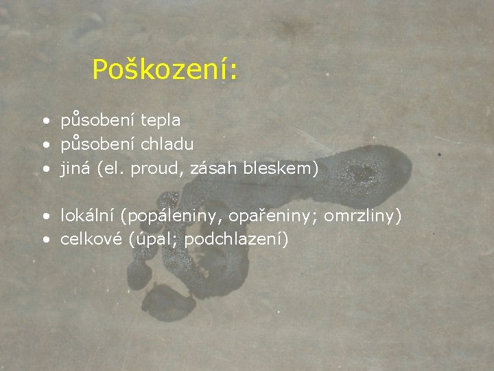 Poškození: • působení tepla • působení chladu • jiná (el. proud, zásah bleskem) •