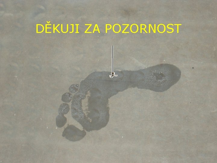DĚKUJI ZA POZORNOST 