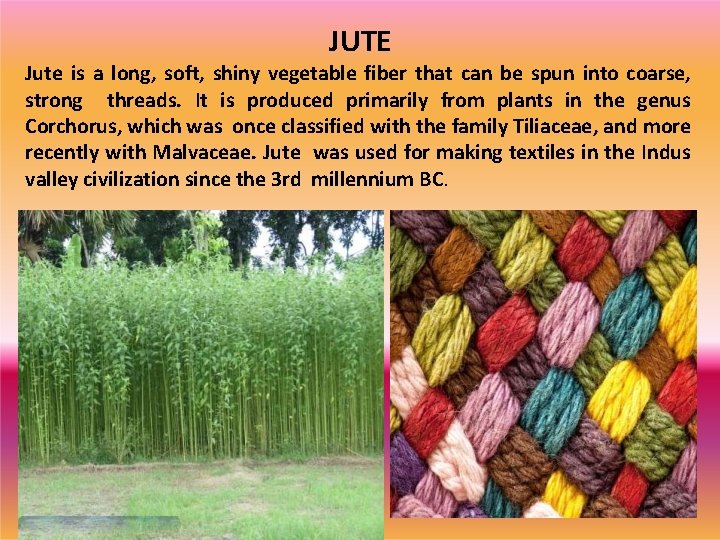 JUTE Jute is a long, soft, shiny vegetable fiber that can be spun into