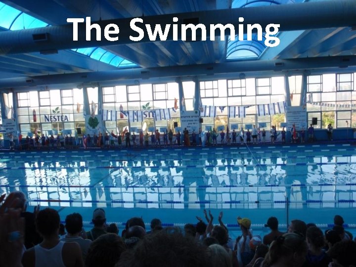 The Swimming 