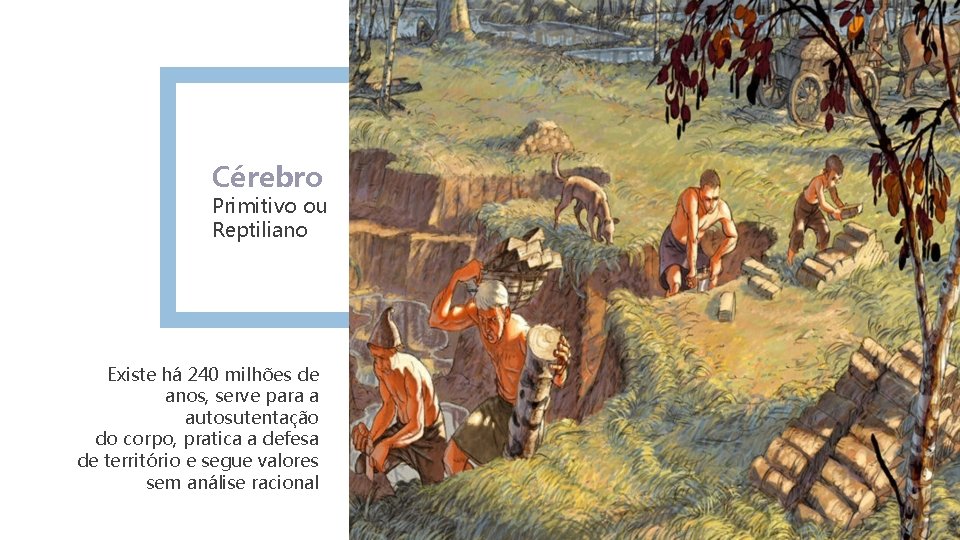 Cérebro Primitivo ou Reptiliano Existe há 240 milhões de anos, serve para a autosutentação