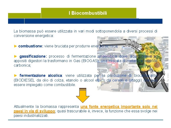 I Biocombustibili La biomassa può essere utilizzata in vari modi sottoponendola a diversi processi