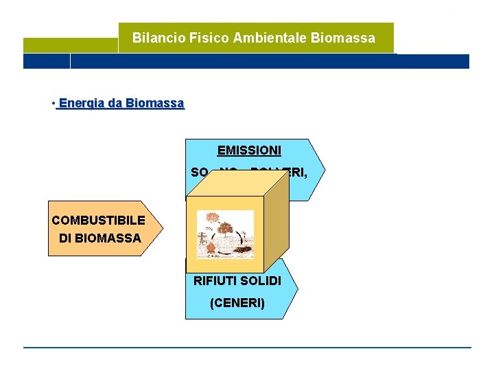 Bilancio Fisico Ambientale Biomassa • Energia da Biomassa EMISSIONI SO 2, NOX, POLVERI, CO