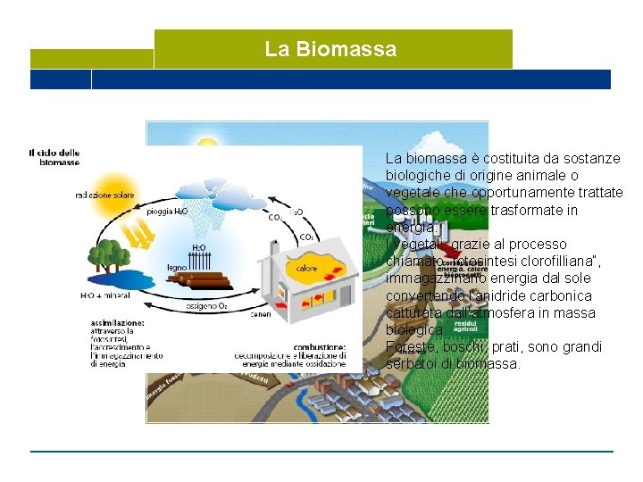 La Biomassa La biomassa è costituita da sostanze biologiche di origine animale o vegetale