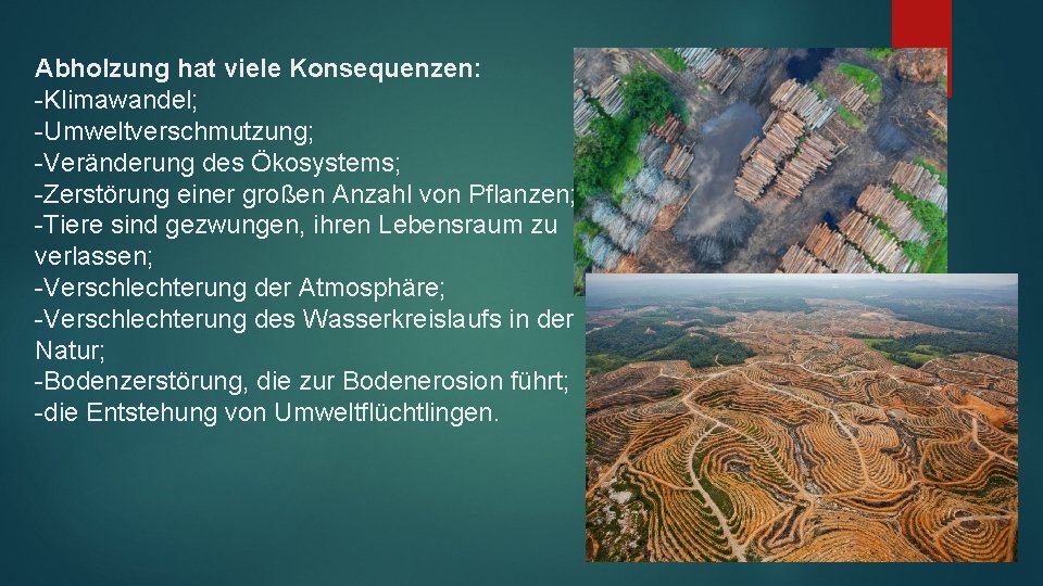 Abholzung hat viele Konsequenzen: -Klimawandel; -Umweltverschmutzung; -Veränderung des Ökosystems; -Zerstörung einer großen Anzahl von