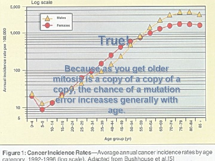 True! Because as you get older mitosis is a copy of a copy, the