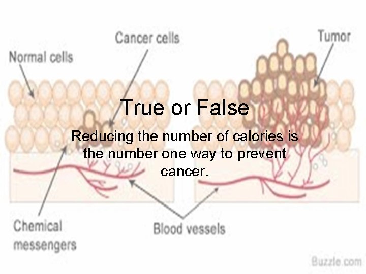True or False Reducing the number of calories is the number one way to