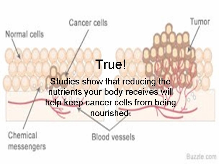 True! Studies show that reducing the nutrients your body receives will help keep cancer