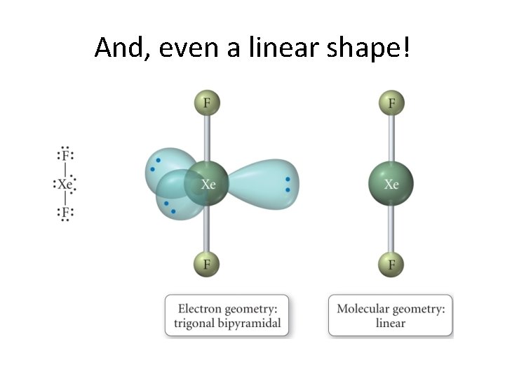 And, even a linear shape! 