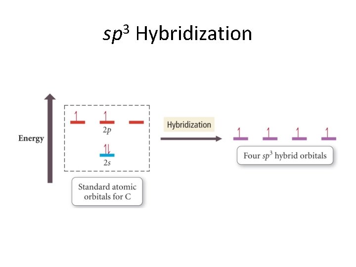sp 3 Hybridization 