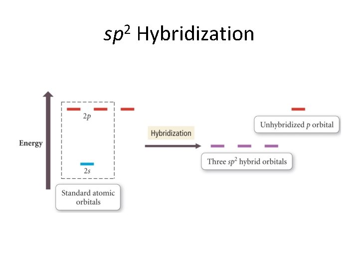 sp 2 Hybridization 