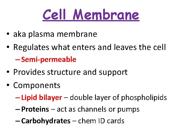 Cell Membrane • aka plasma membrane • Regulates what enters and leaves the cell