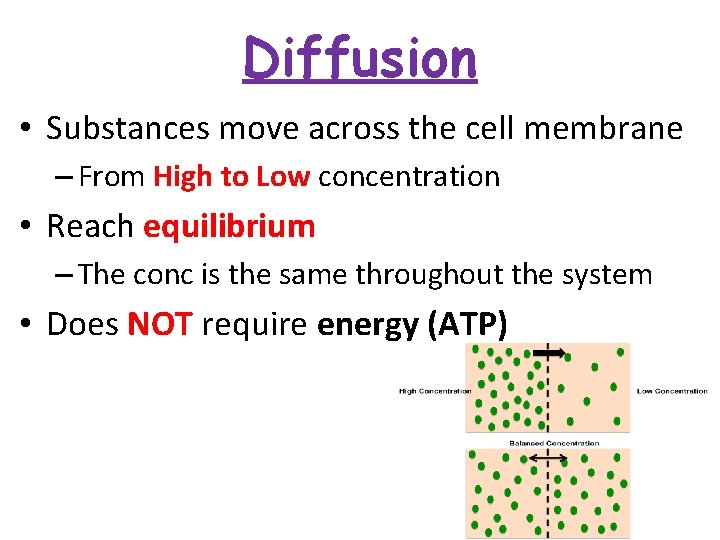 Diffusion • Substances move across the cell membrane – From High to Low concentration