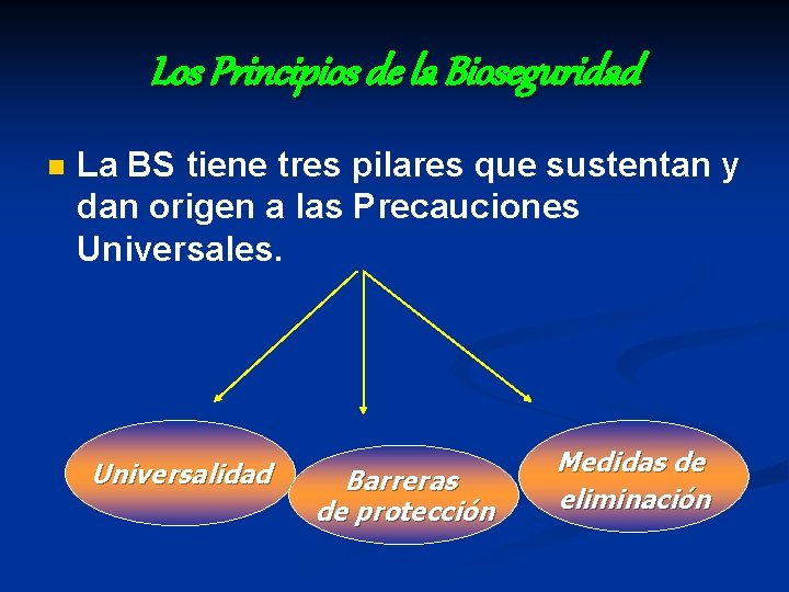 Los Principios de la Bioseguridad n La BS tiene tres pilares que sustentan y
