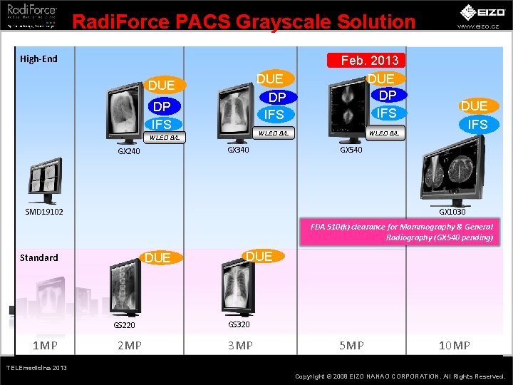 Radi. Force PACS Grayscale Solution High-End DUE DP IFS WLED B/L GX 340 GX
