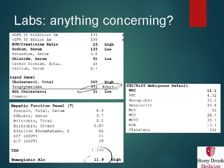 Labs: anything concerning? 