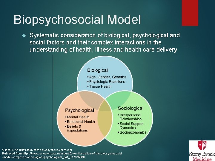 Biopsychosocial Model Systematic consideration of biological, psychological and social factors and their complex interactions