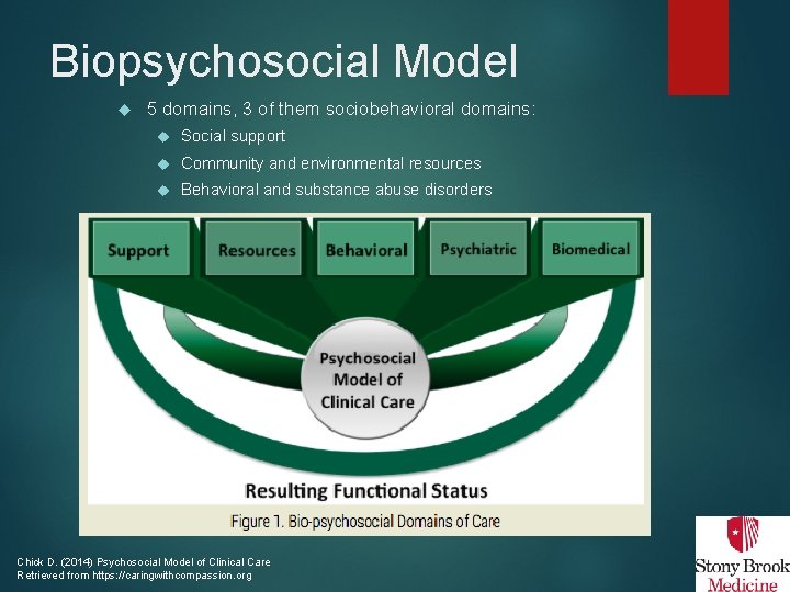 Biopsychosocial Model 5 domains, 3 of them sociobehavioral domains: Social support Community and environmental