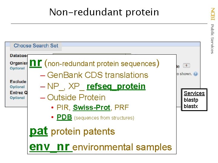 NCBI Public Services Non-redundant protein nr (non-redundant protein sequences) – Gen. Bank CDS translations