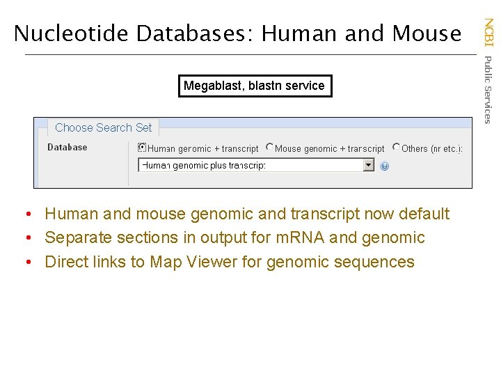 Megablast, blastn service • Human and mouse genomic and transcript now default • Separate
