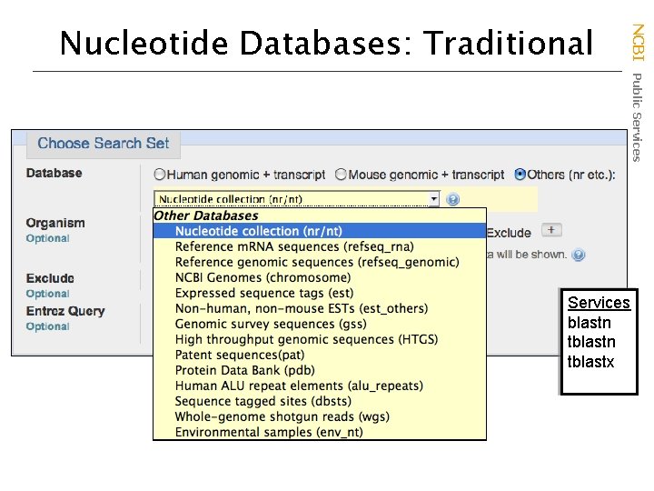 NCBI Public Services Nucleotide Databases: Traditional Services blastn tblastx 