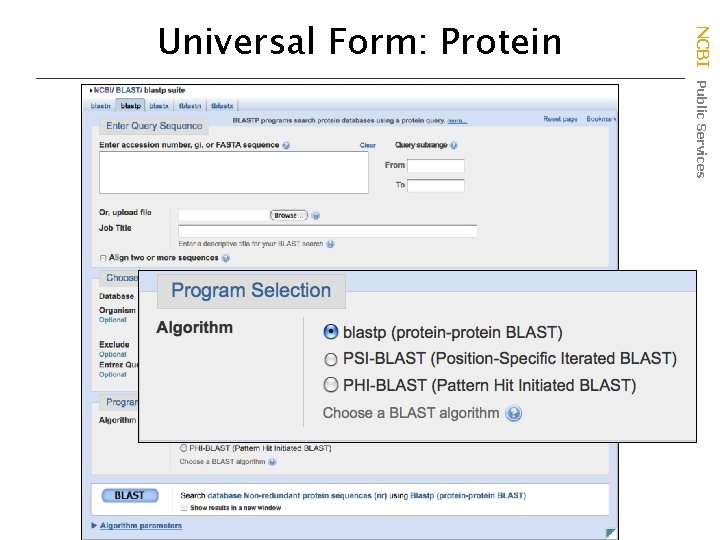 NCBI Public Services Universal Form: Protein 