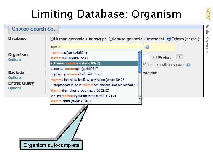 Organism autocomplete NCBI Public Services Limiting Database: Organism 