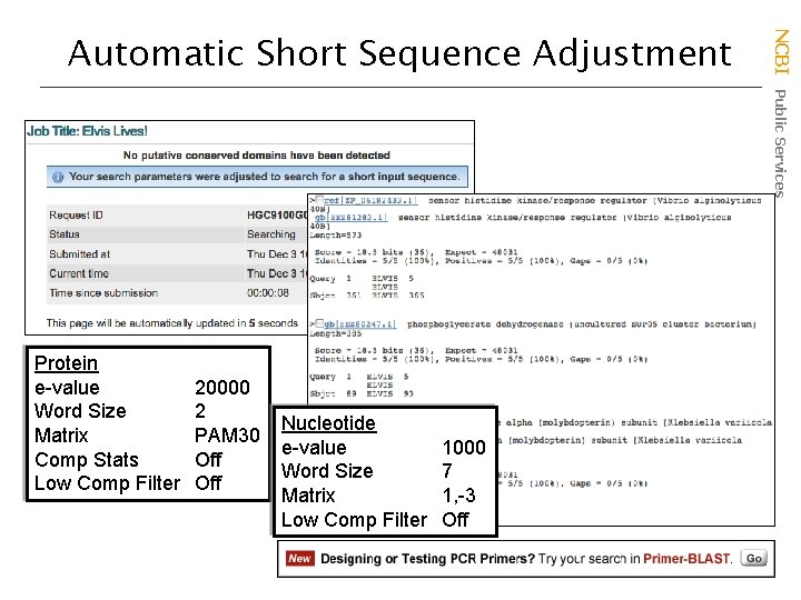 Protein e-value Word Size Matrix Comp Stats Low Comp Filter 20000 2 PAM 30