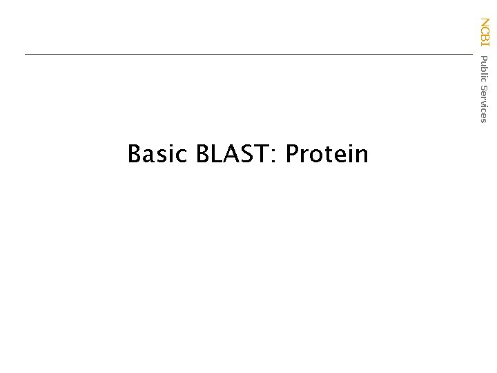 NCBI Public Services Basic BLAST: Protein 