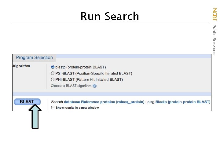 NCBI Public Services Run Search 