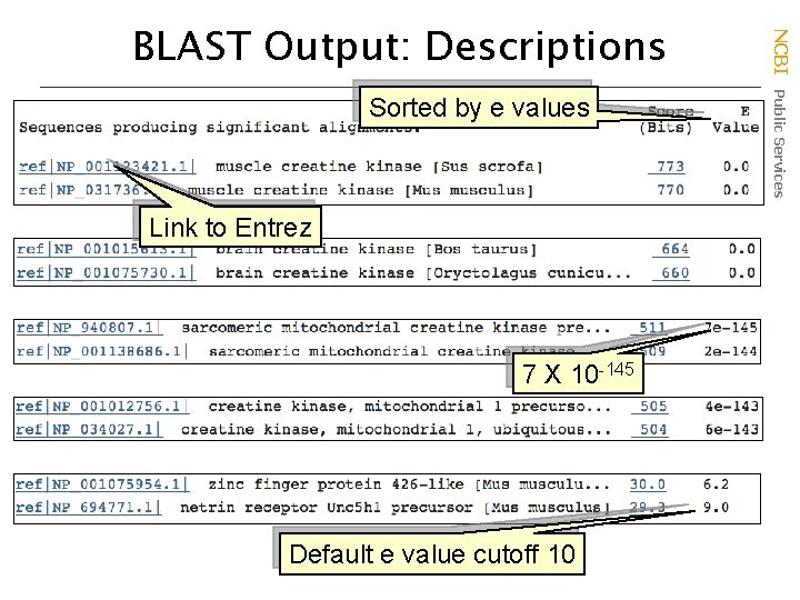 Sorted by e values Link to Entrez 7 X 10 -145 Default e value