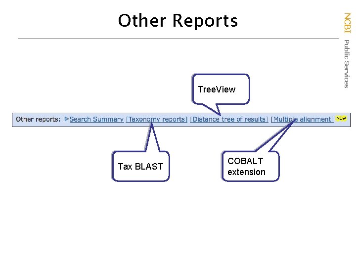 Tree. View Tax BLAST COBALT extension NCBI Public Services Other Reports 