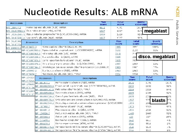 megablast disco. megablastn NCBI Public Services Nucleotide Results: ALB m. RNA 