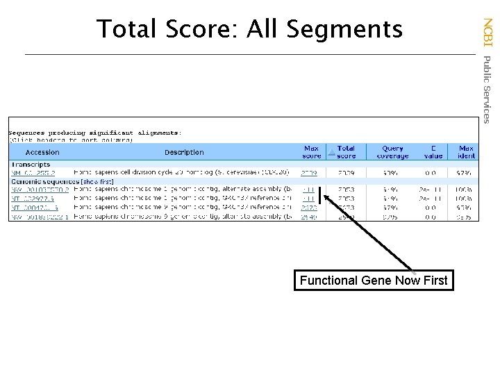 Functional Gene Now First NCBI Public Services Total Score: All Segments 