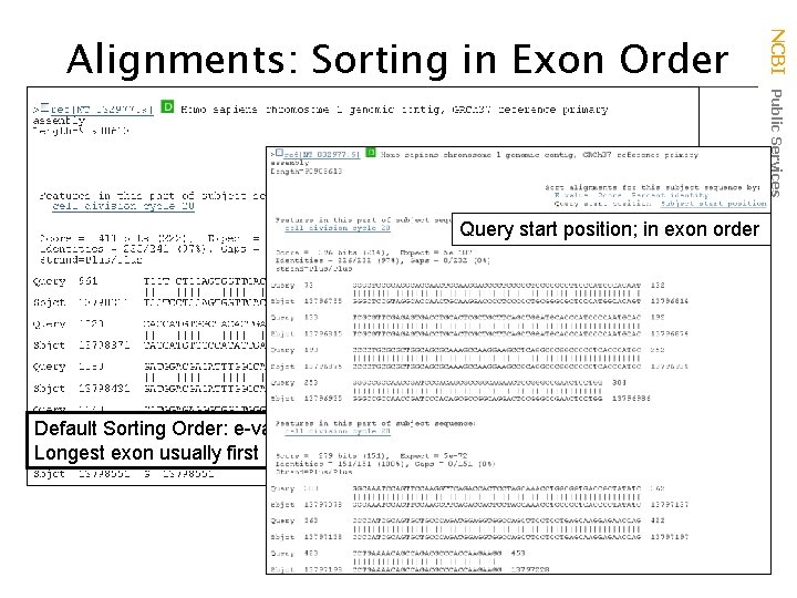 Query start position; in exon order Default Sorting Order: e-value Longest exon usually first