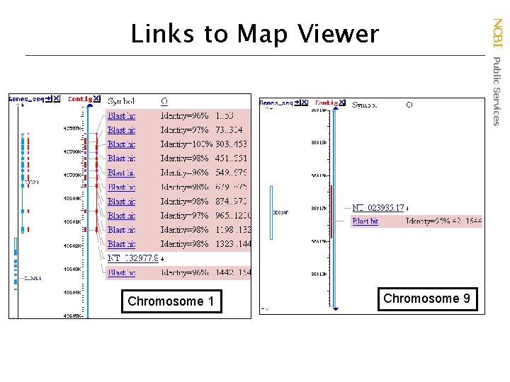 Chromosome 1 NCBI Public Services Links to Map Viewer Chromosome 9 