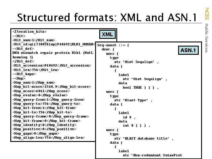 <Iteration_hits> XML −<Hit> <Hit_num>1</Hit_num> <Hit_id>gi|730028|sp|P 40692|MLH 1_HUMAN</Hit_id> Seq-annot : : = { −<Hit_def> desc