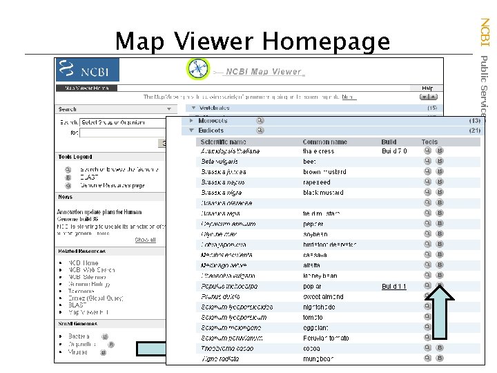 NCBI Public Services Map Viewer Homepage 