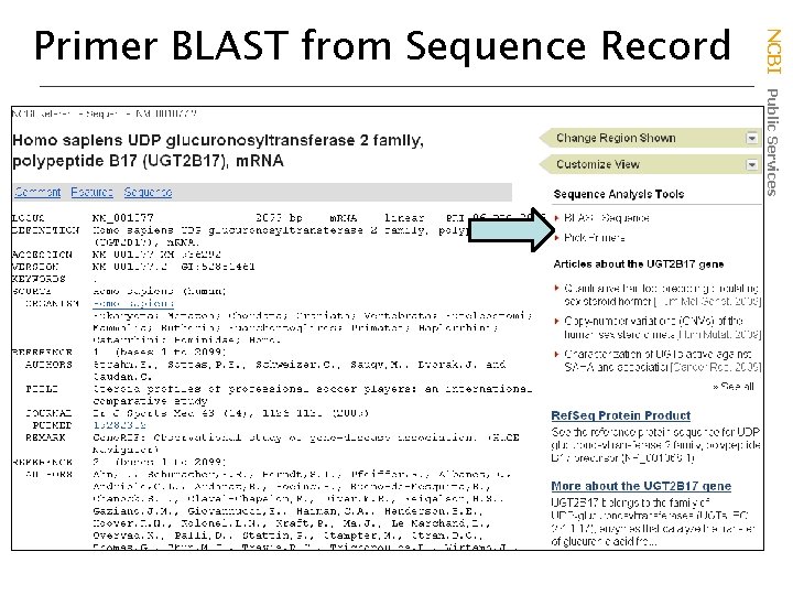 NCBI Public Services Primer BLAST from Sequence Record 